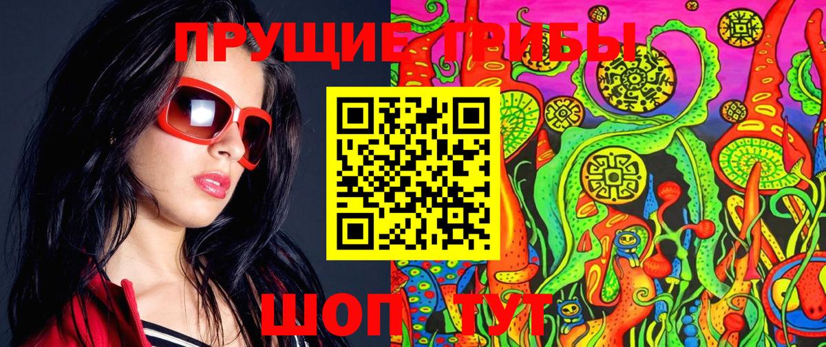 Галлюциногенные грибы Psilocybine cubensis Коряжма