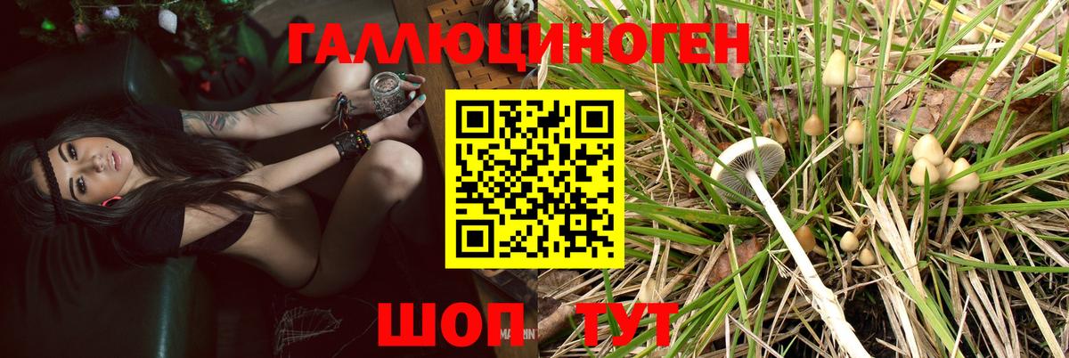 Коряжма  Галлюциногенные грибы GOLDEN TEACHER  Вход с VPN 